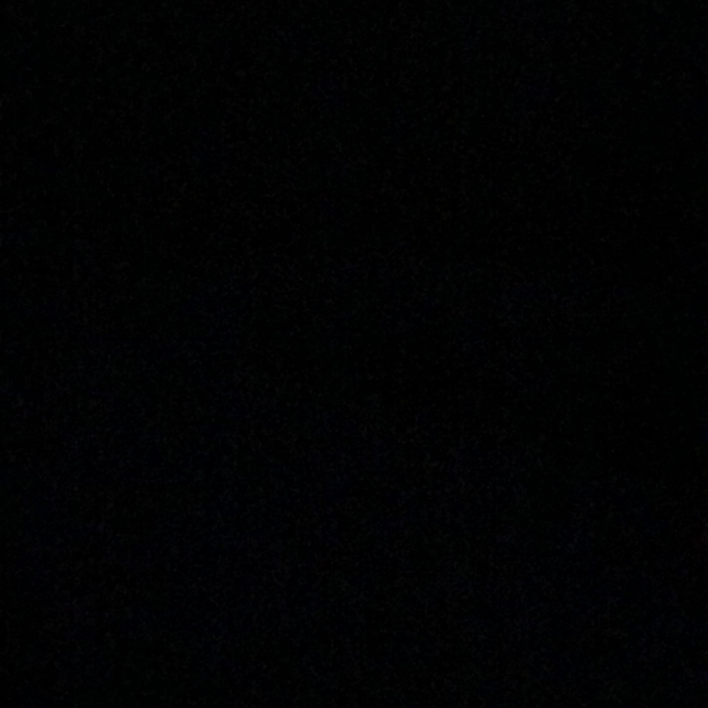 Meet your Posher, Riley